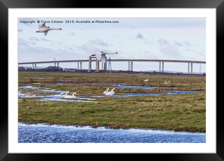 Geese flying Sheppey Bridge Framed Mounted Print by Claire Colston