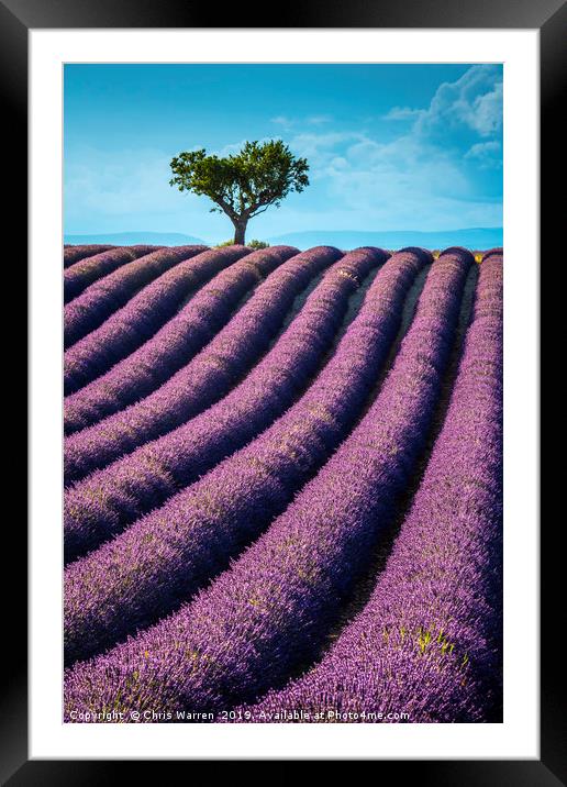 Lavender fields Valensole France Framed Mounted Print by Chris Warren
