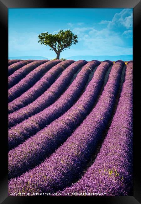 Lavender fields Valensole France Framed Print by Chris Warren