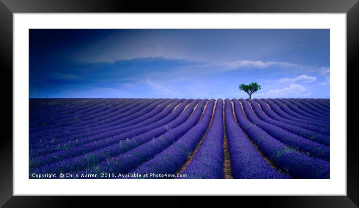 Lavender fields Valensole Provence France Framed Mounted Print by Chris Warren
