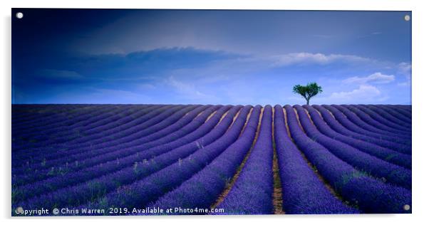 Lavender fields Valensole Provence France Acrylic by Chris Warren