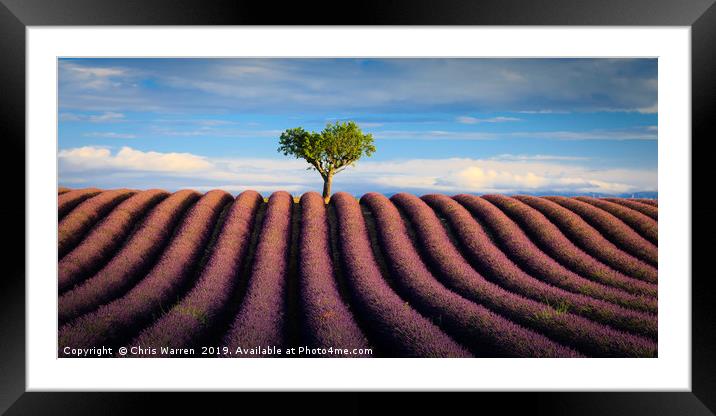 Lavender fields Valensole Plateau Provence France Framed Mounted Print by Chris Warren