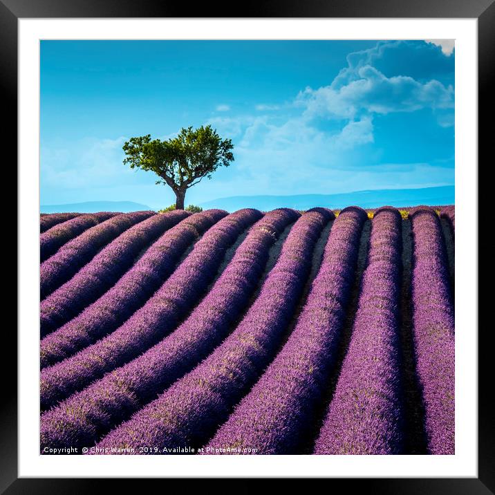 Lavender fields Valensole Provence France Framed Mounted Print by Chris Warren