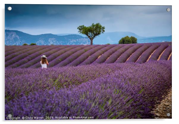 Lady amongst the Lavender fields Provence Acrylic by Chris Warren