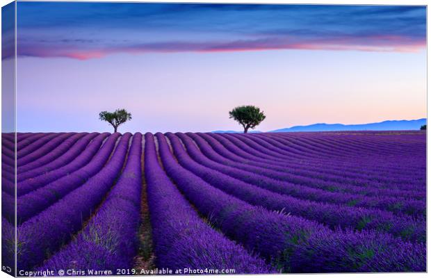 Lavender fields Valensole Provence France Canvas Print by Chris Warren