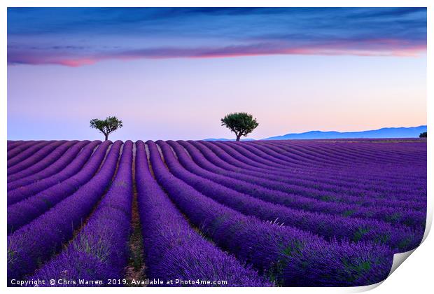 Lavender fields Valensole Provence France Print by Chris Warren