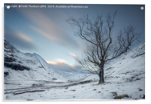 Loch Achtriochtan Tree Acrylic by Keith Thorburn EFIAP/b