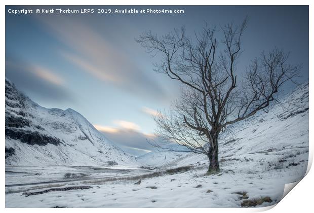 Loch Achtriochtan Tree Print by Keith Thorburn EFIAP/b
