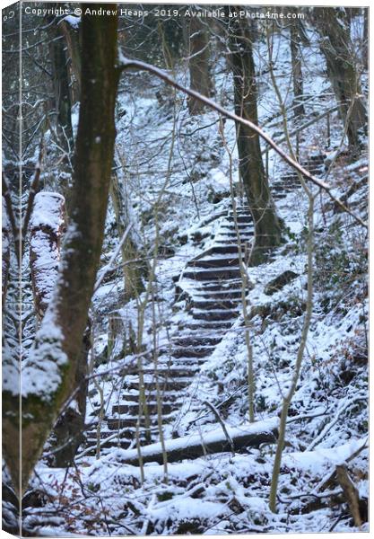 Snowy steps at country park. Canvas Print by Andrew Heaps