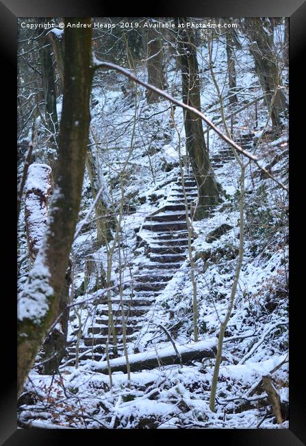 Snowy steps at country park. Framed Print by Andrew Heaps