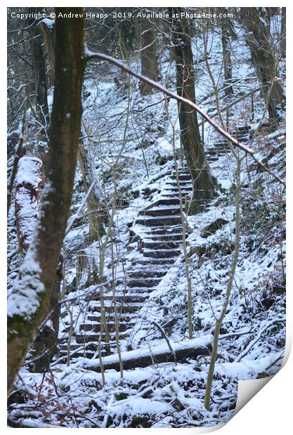 Snowy steps at country park. Print by Andrew Heaps