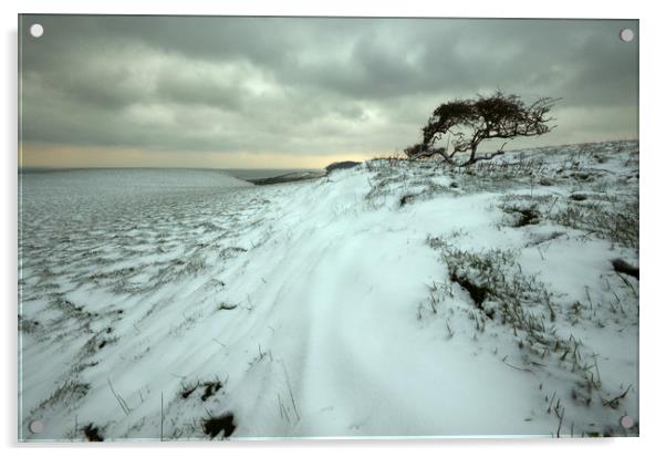 A Bleak Mid Winter Acrylic by David Neighbour