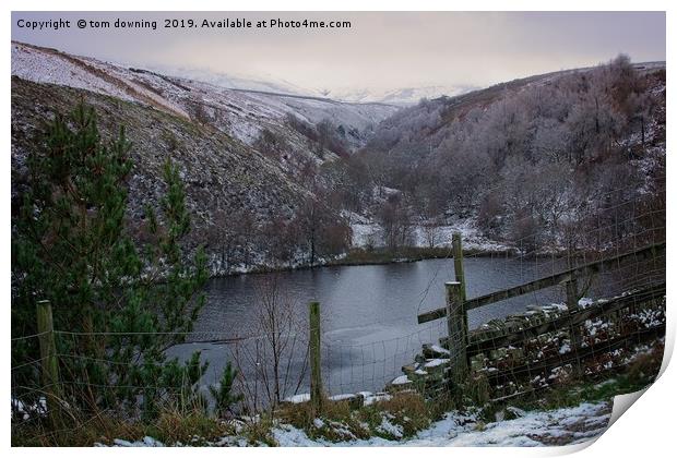 Bilberry reservoir Print by tom downing