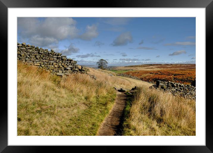 Haworth Moor footpath, Yorkshire Dales Framed Mounted Print by Diana Mower