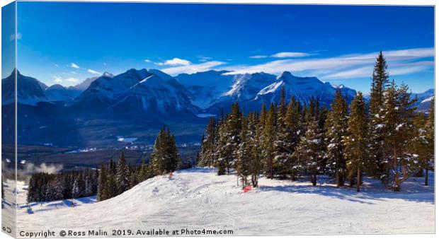 Skiing In Lake Louise Canvas Print by Ross Malin