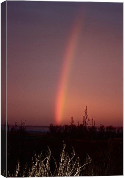 Evening Rainbow Canvas Print by Irina Walker