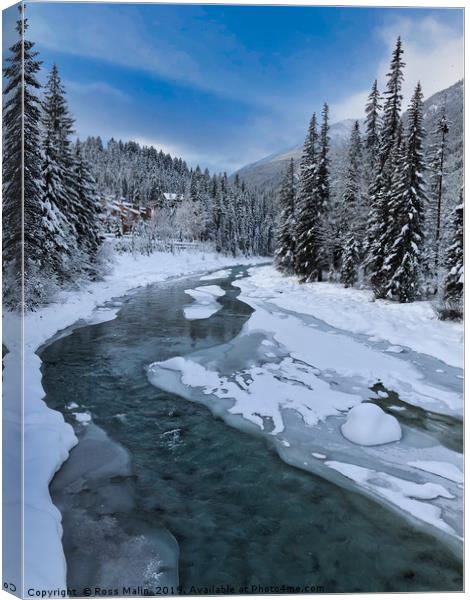 Toby Creek in The Snow Canvas Print by Ross Malin