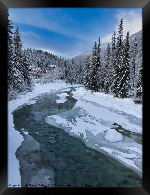Toby Creek in The Snow Framed Print by Ross Malin