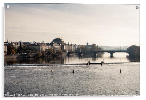 Prague view of the Vlatva river  Acrylic by Angela Bragato