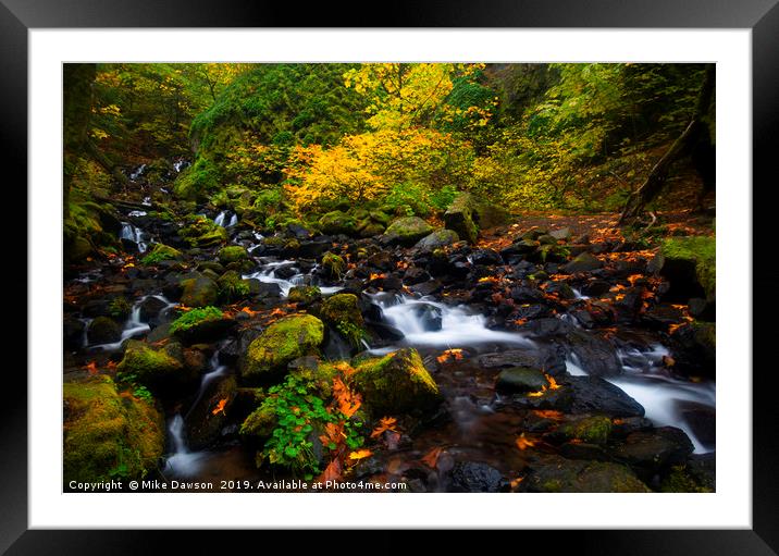 Surrounded by Autumn Framed Mounted Print by Mike Dawson