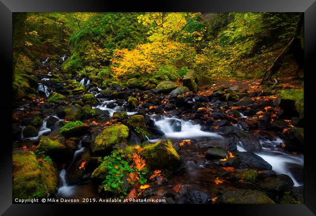 Surrounded by Autumn Framed Print by Mike Dawson