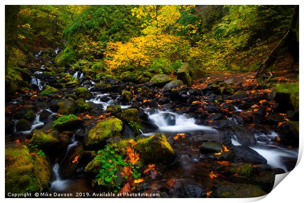 Surrounded by Autumn Print by Mike Dawson