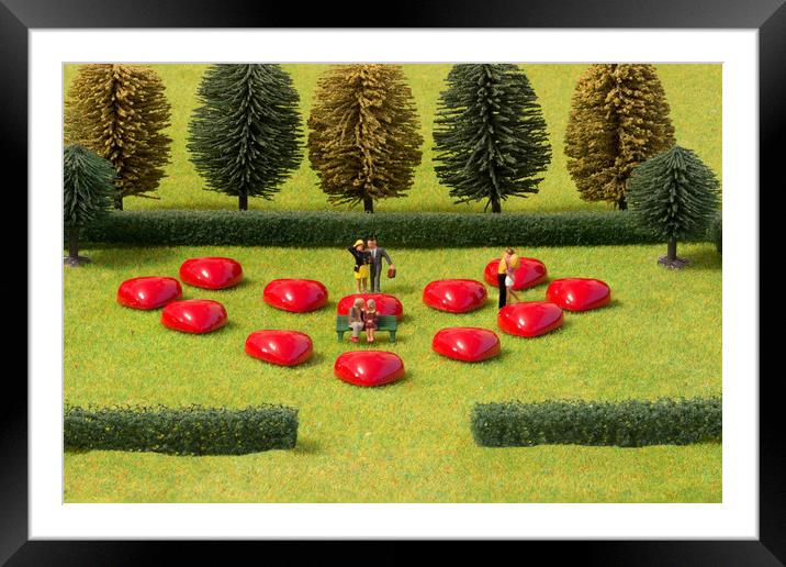 Lovers Garden Framed Mounted Print by Steve Purnell