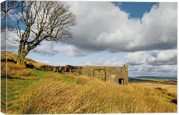 Top Withens Haworth Moor Canvas Print by Diana Mower