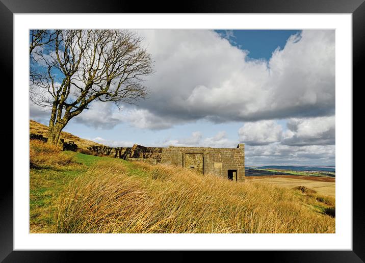 Top Withens Haworth Moor Framed Mounted Print by Diana Mower