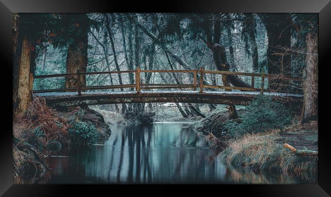 Rhinefield Ornamental Drive, New Forest Framed Print by Kevin Browne