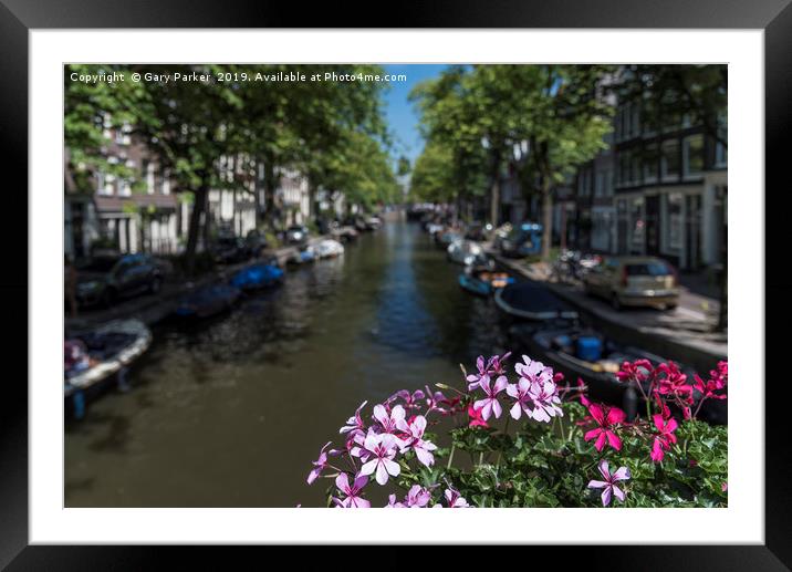 Summer flowers overlooking a canal in Amsterdam Framed Mounted Print by Gary Parker