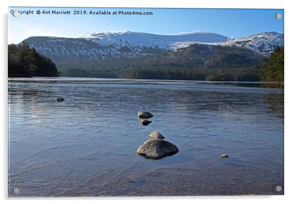 Loch Morlich, Scotland. Acrylic by Ant Marriott