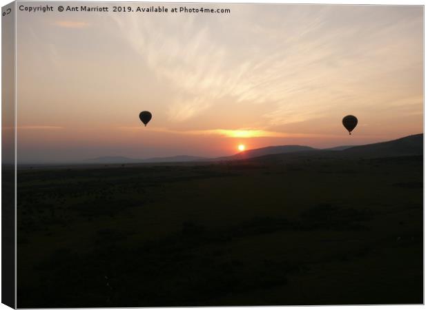 Hot air balloons over the Maasai Mara. Canvas Print by Ant Marriott
