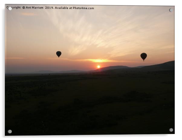 Hot air balloons over the Maasai Mara. Acrylic by Ant Marriott