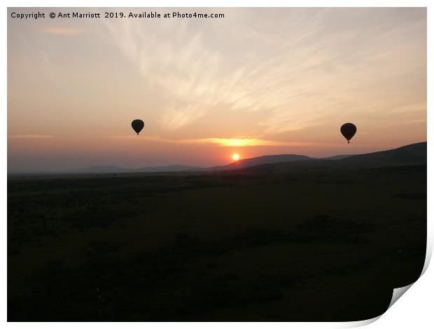 Hot air balloons over the Maasai Mara. Print by Ant Marriott