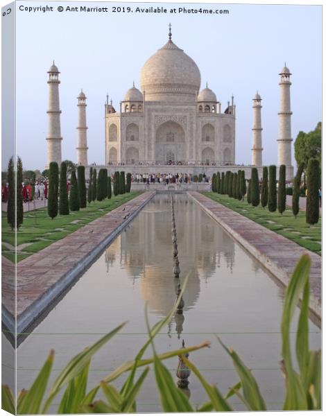 Taj Mahal, Agra, India Canvas Print by Ant Marriott
