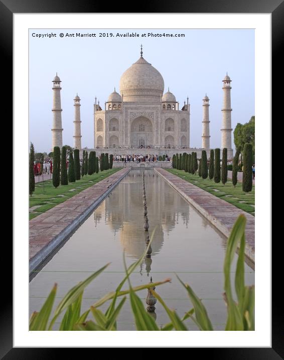 Taj Mahal, Agra, India Framed Mounted Print by Ant Marriott
