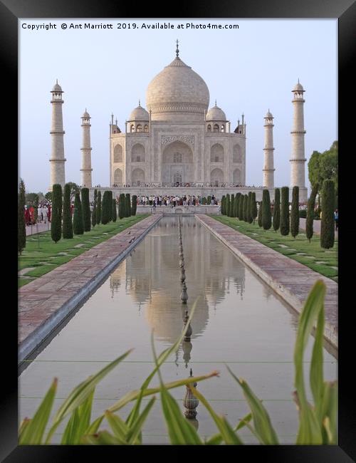 Taj Mahal, Agra, India Framed Print by Ant Marriott