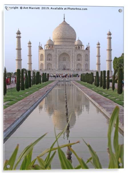 Taj Mahal, Agra, India Acrylic by Ant Marriott