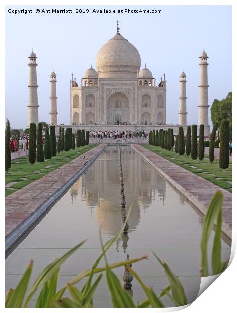 Taj Mahal, Agra, India Print by Ant Marriott