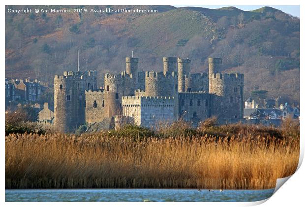 Conway Castle, North Wales. Print by Ant Marriott
