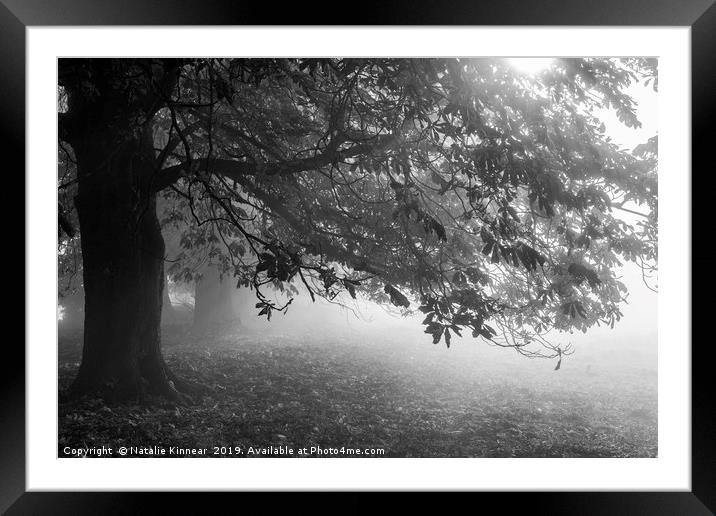 Autumn Tree in Mist and Sunlight Framed Mounted Print by Natalie Kinnear