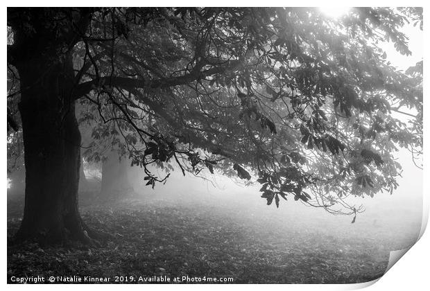 Autumn Tree in Mist and Sunlight Print by Natalie Kinnear
