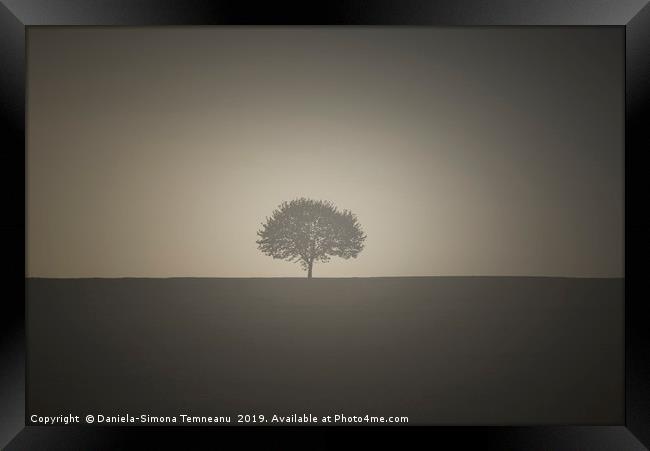 Vintage image with a single tree Framed Print by Daniela Simona Temneanu