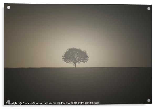 Vintage image with a single tree Acrylic by Daniela Simona Temneanu
