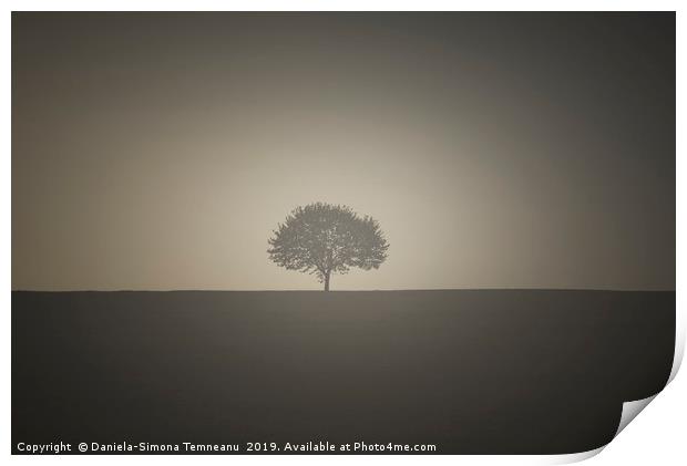 Vintage image with a single tree Print by Daniela Simona Temneanu