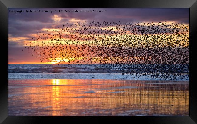Starlings At Sunset Framed Print by Jason Connolly