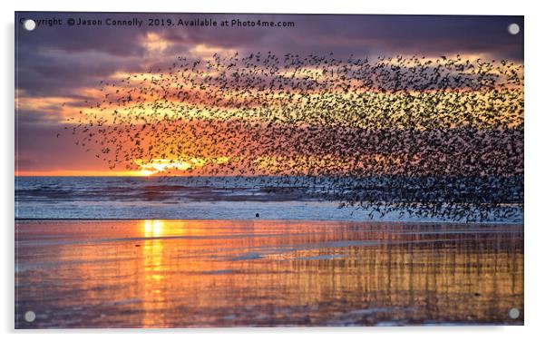 Starlings At Sunset Acrylic by Jason Connolly