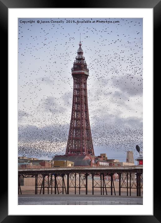 Starlings At The Tower. Framed Mounted Print by Jason Connolly