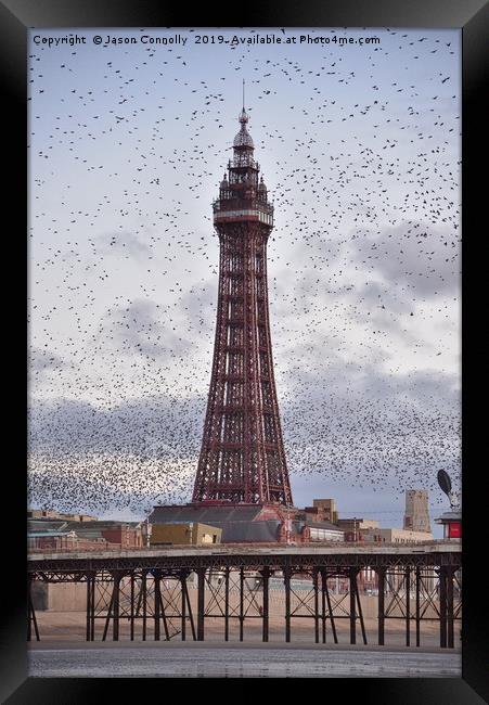 Starlings At The Tower. Framed Print by Jason Connolly